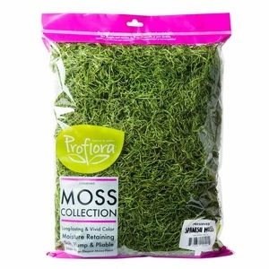 ProFlora Spanish Moss True Green, Floral Arranging Supplies